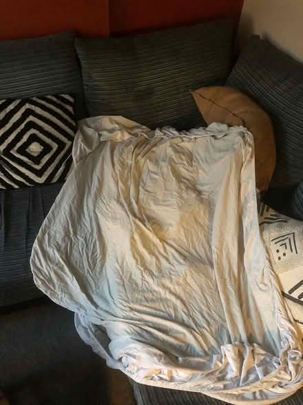 Photo of free Grey fitted sheet (Headingley, LS6) #1