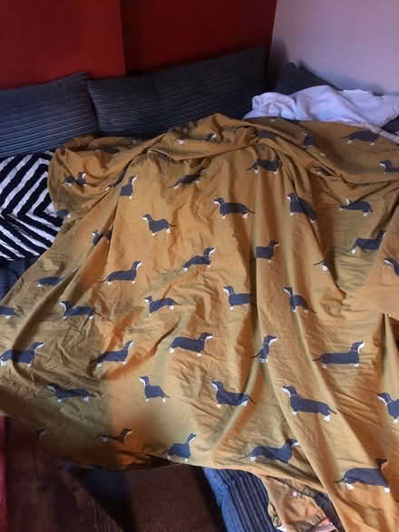 Photo of free Duvet cover (Headingley, LS6) #1