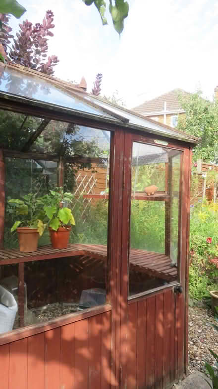Photo of free Octagonal Cedar Greenhouse (Ware SG12) #2