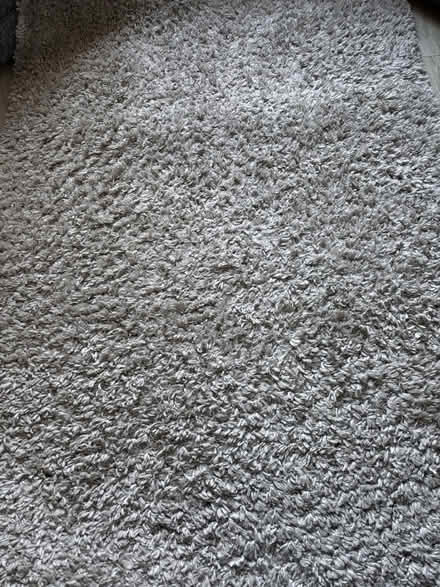 Photo of free Rug (L27) #2