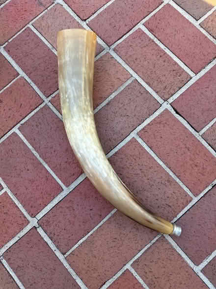 Photo of free Horn horn (West Beverly Hills) #1