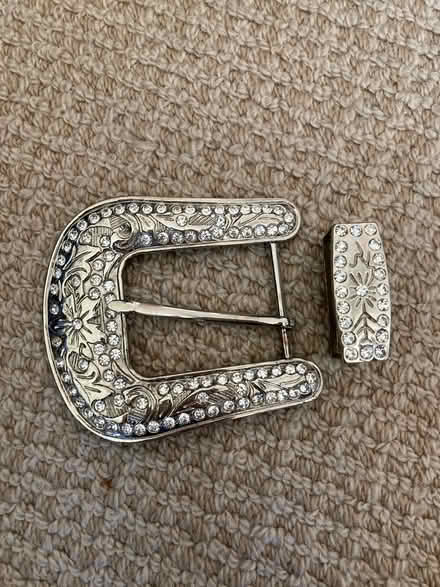Photo of free Sparkly belt buckle and loop (Sunnyvale near Ortega Park) #1
