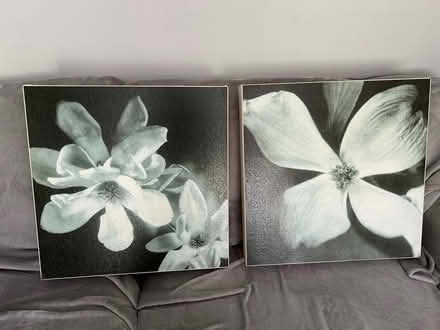 Photo of free Canvas Pictures (Pair) (Bristol BS4)