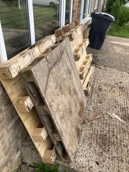 Photo of free Wooden pallets (Seaside BN22) #1