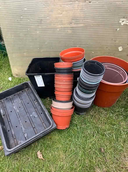 Photo of free Plastic flower pots (Gomer) #1