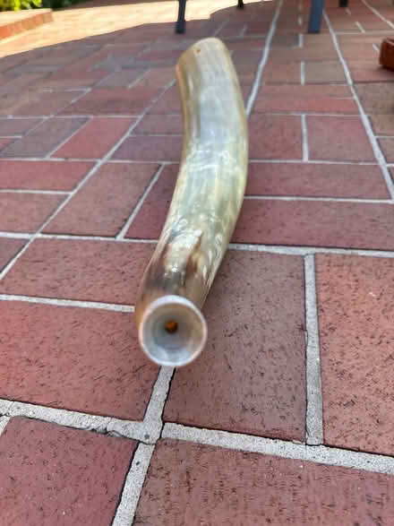Photo of free Horn horn (West Beverly Hills) #3