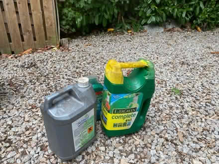 Photo of free Grass treatment (Newmill) #1