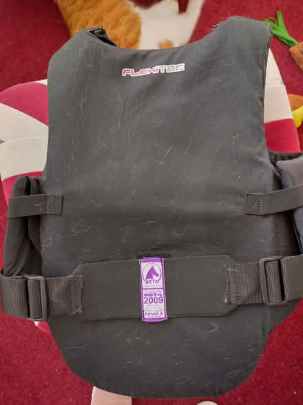 Photo of free Horse riding body protector, ladies 14+- (Binley CV3) #4