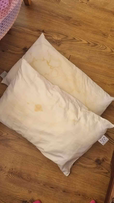 Photo of free 2 pillows (old) (Hulme M15) #1