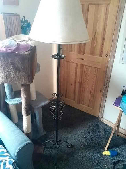 Photo of free Standard lamp (Odd Down) #1