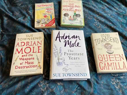 Photo of free Sue Townsend, Adrian Mole books (Oswestry SY11) #1