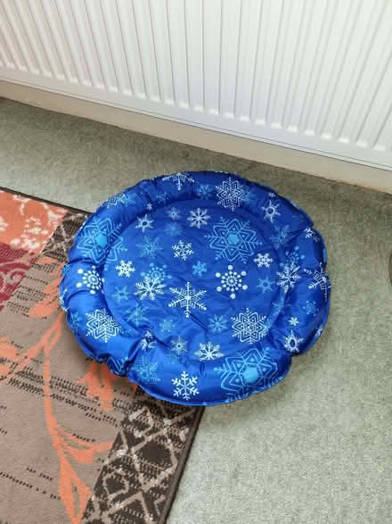 Photo of free Cat Cooling Mat (Epping CM16) #1