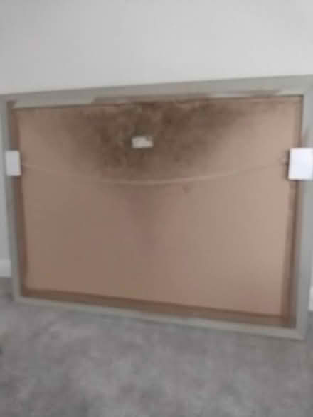 Photo of free Large picture (Steyning BN44) #2