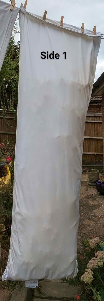 Photo of free 6 long pillowcases and pillow to fit (The Highlands TN39) #3