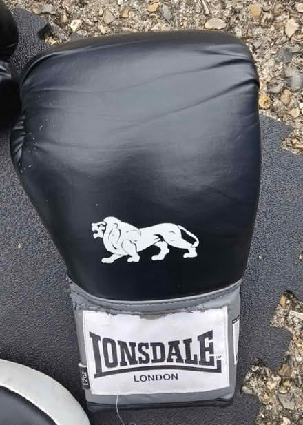 Photo of free Boxing pads and gloves (Ealing Broadway) #3