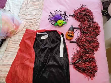 Photo of free Halloween decorations and costumes (Mere green B75) #1