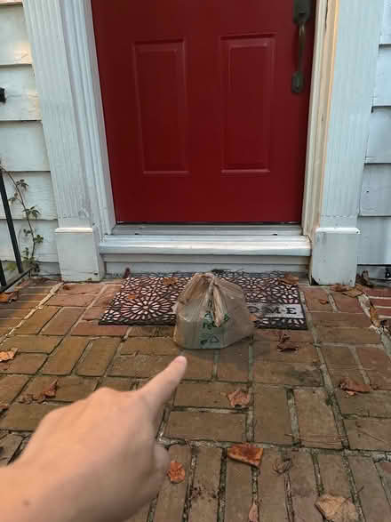 Photo of free Cat drinking fountain (electric) (412 Ingleside Ave. Tallahasse.) #3