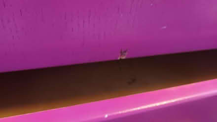 Photo of free Pink chest of drawers (ME15 Westmorland Road) #4