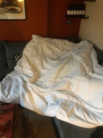 Photo of free Double duvet (Headingley, LS6) #1