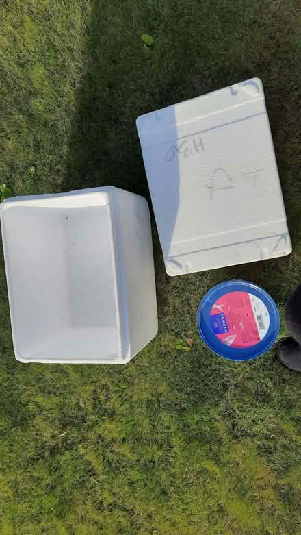 Photo of free Insulated boxes and plastic tub with lid (Culcheth WA3) #4