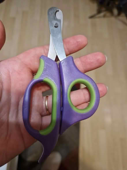 Photo of free Pet nail scissors (Leytonstone high rd) #1