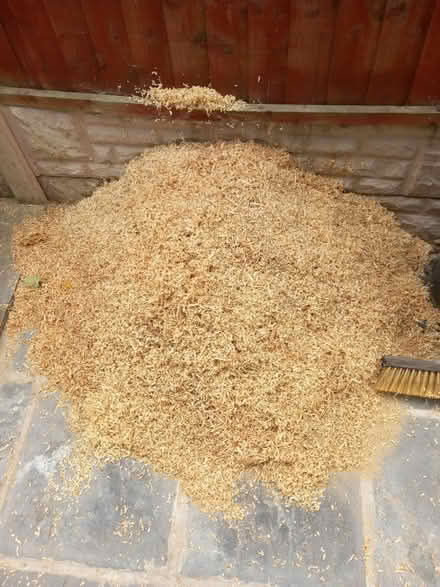 Photo of free Sawdust Wood Shavings (Oxford OX4) #1