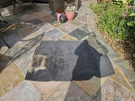Photo of free Trunk Floor Mat (Ernestine Lane, Mountain View) #1