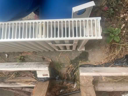 Photo of free Single panel radiator (Malvern WR14) #3
