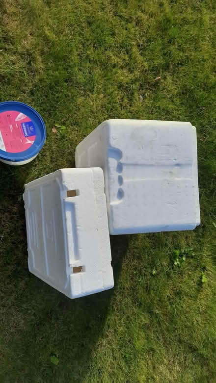 Photo of free Insulated boxes and plastic tub with lid (Culcheth WA3) #2