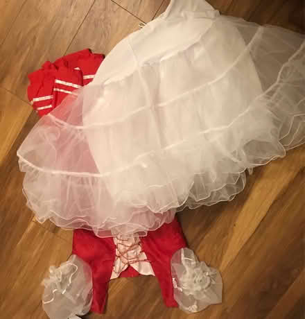Photo of free Fancy dress, size M-L (Hemel Hempstead) #2