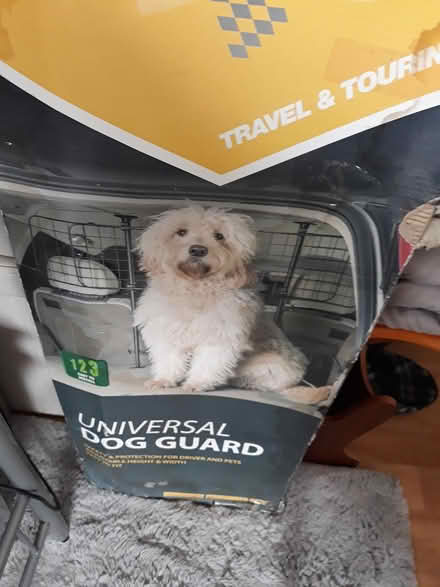 Photo of free Universal car guard (Bedford MK40) #1