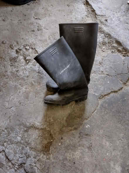 Photo of free Size 3 (36) Dunlop Welly Boots (Addiscombe CR0) #1