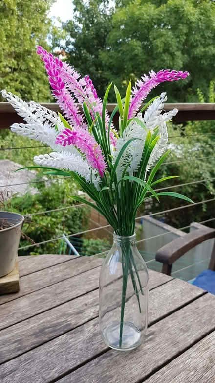 Photo of free Plastic flowers (Eastville BS5) #1