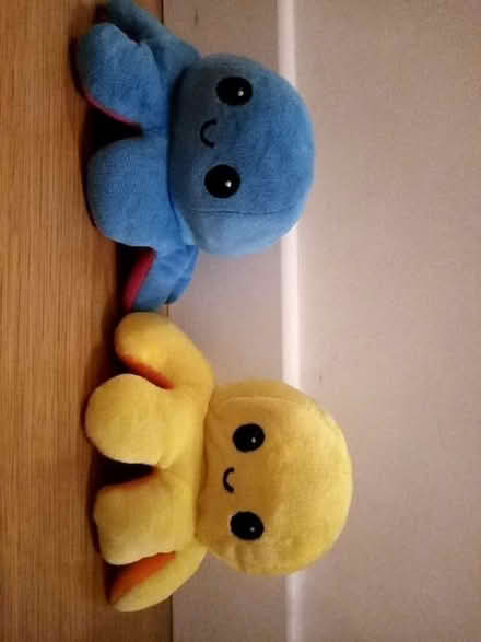 Photo of free 2 reversible octopuses (Chells SG2) #1
