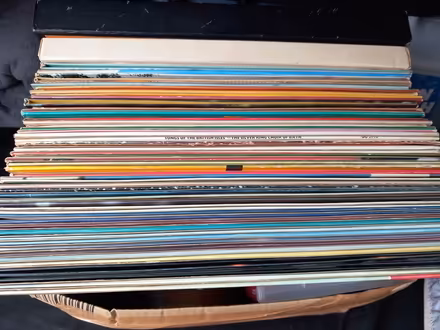Photo of free Vinyl LPs (Bordon) #1