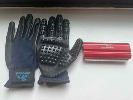 Photo of free Dog/cat brush and grooming gloves (Cambridgeport) #1