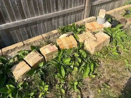 Photo of free Assorted bricks (New Malden KT3) #1