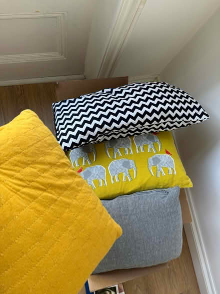 Photo of free Pillows different sizes (SW4) #1