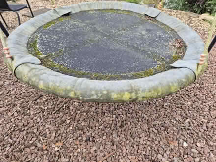 Photo of free Round seat swing (GL3) #3