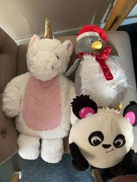 Photo of free Teddies (NW10) #1