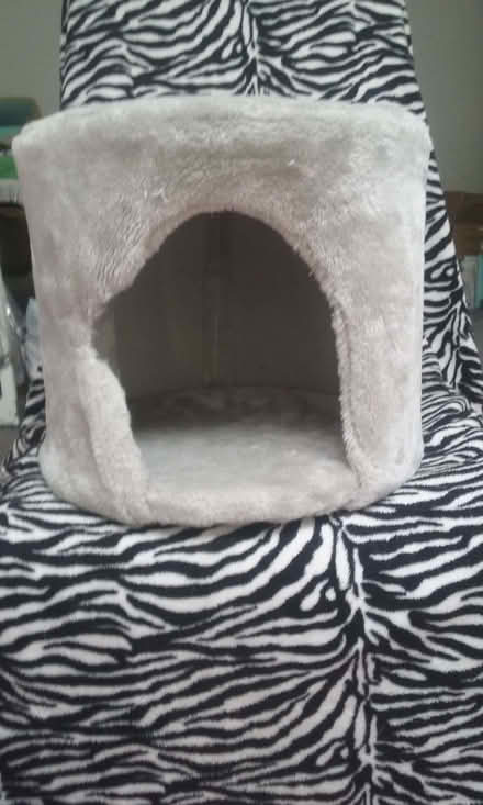 Photo of free Cat Bed/Den/Pet Toy Box (Wrose BD18) #1