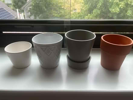 Photo of free 4 flower pots (Cambridgeport) #1