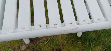 Photo of free 8 wooden folding chairs, painted white. (St Just TR19) #4