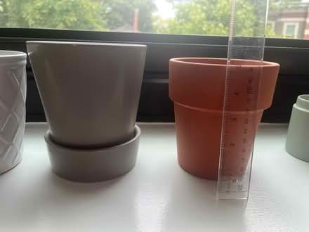 Photo of free 4 flower pots (Cambridgeport) #3