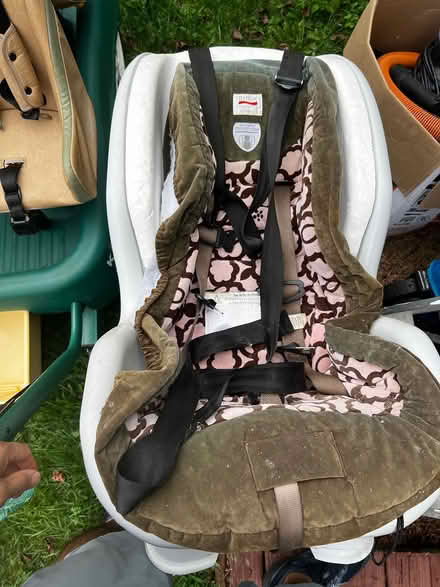 Photo of free Baby chair (Elmont) #1
