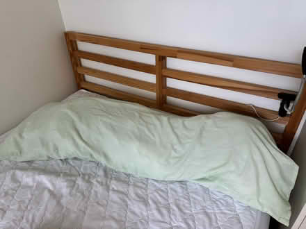 Photo of free Pillows different sizes (SW4) #2
