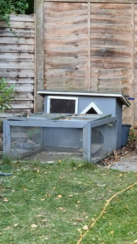 Photo of free Guinea Pig Hutch and Run (Kenilworth) #1