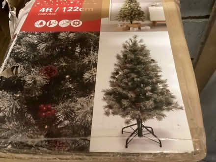 Photo of free Xmas Tree (Benfleet/Hadleigh SS7) #1