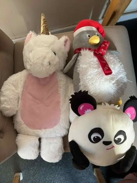 Photo of free Teddies (NW10) #2