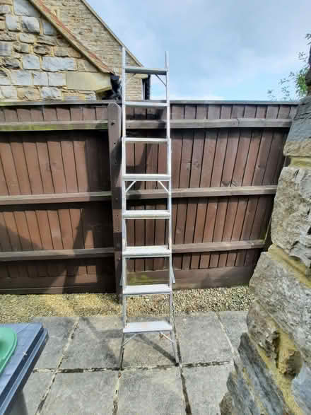 Photo of free Ladder (Yetminster DT9) #3